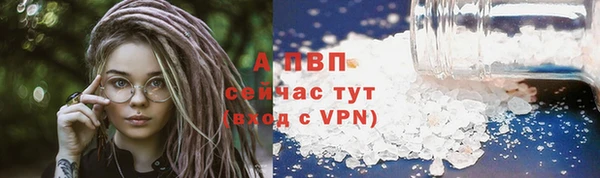 индика Вязники