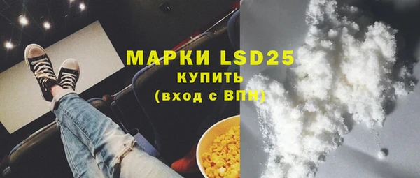 гидра Вяземский