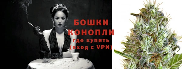 гидра Вяземский