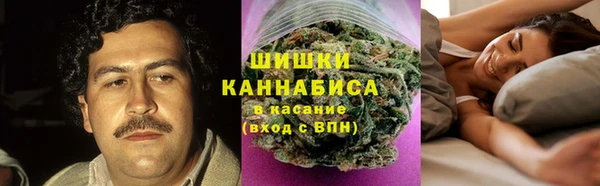 индика Вязники