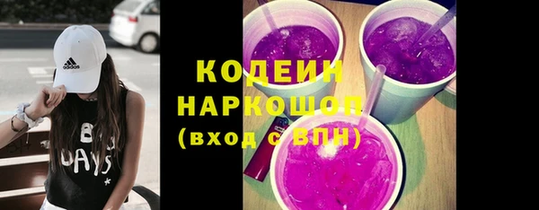 индика Вязники