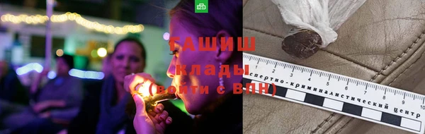 гидра Вяземский