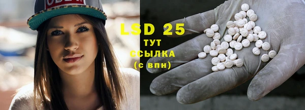 индика Вязники