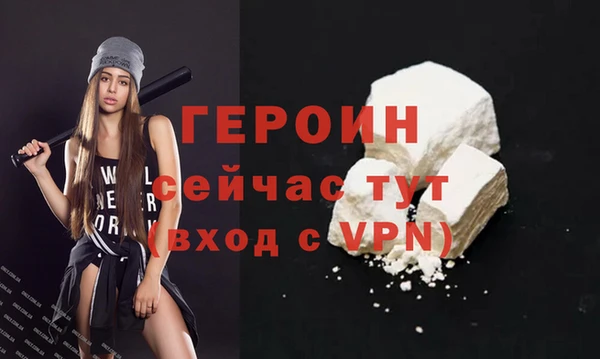 гидра Вяземский