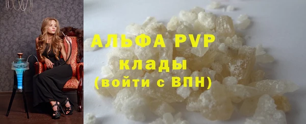 индика Вязники