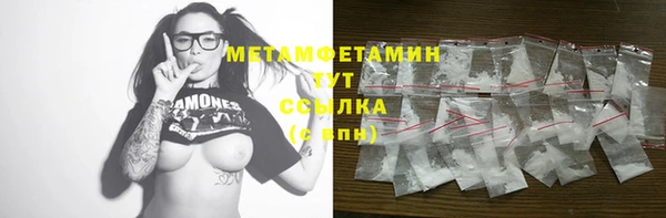 гидра Вяземский