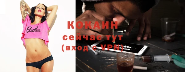 стафф Вязьма
