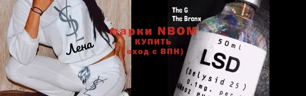 гидра Вяземский