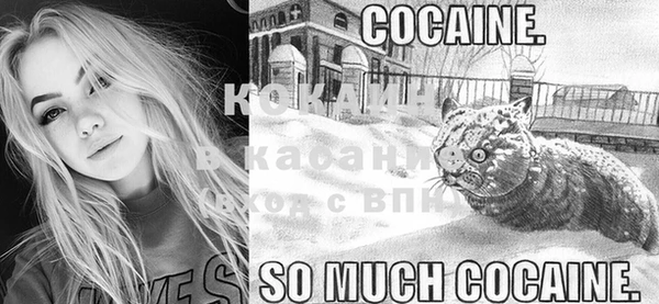 стафф Вязьма