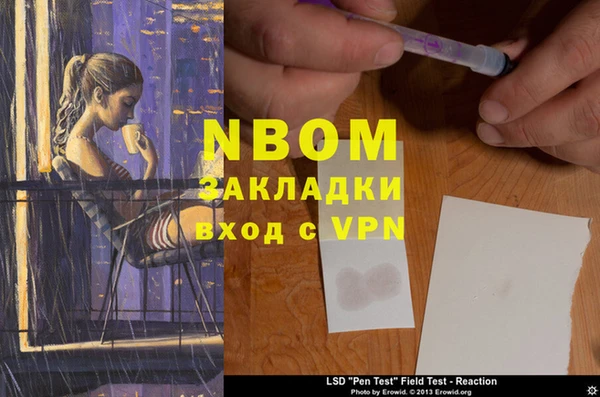 гидра Вяземский