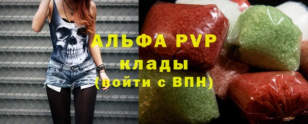 индика Вязники