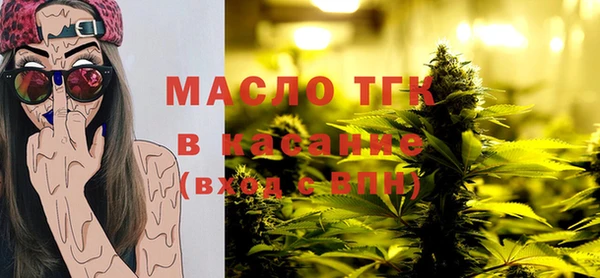 гидра Вяземский
