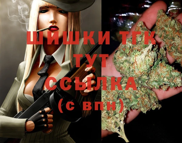 гидра Вяземский