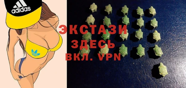 гидра Вяземский