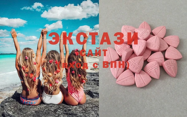 гидра Вяземский