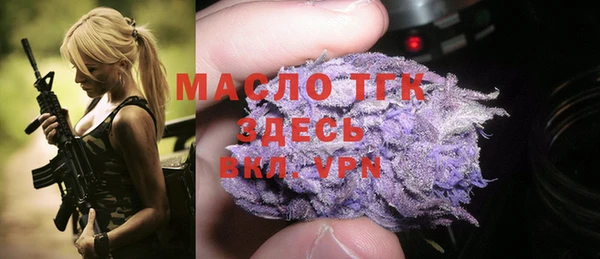 гидра Вяземский