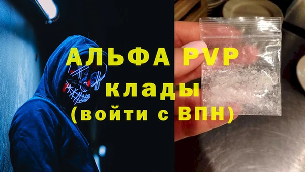 гидра Вяземский