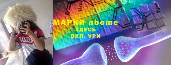 гидра Вяземский