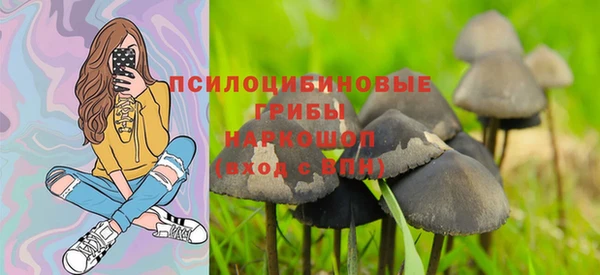 гидра Вяземский