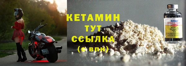 стафф Вязьма