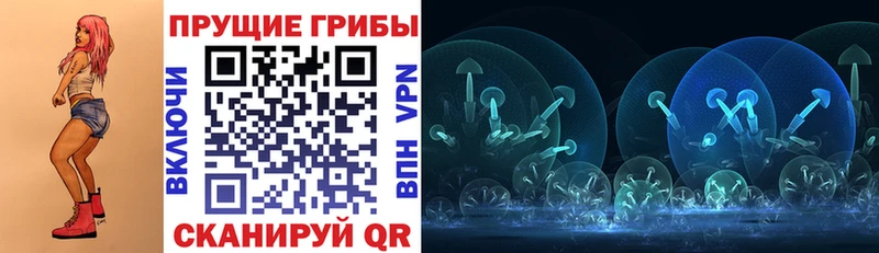 Псилоцибиновые грибы MAGIC MUSHROOMS  Купить где  Пудож 